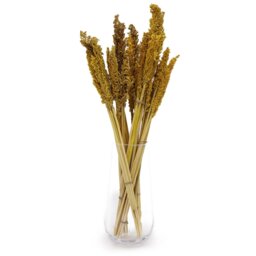 Vibrant Cantal Grass Bunch - Yellow - thumbnail 5