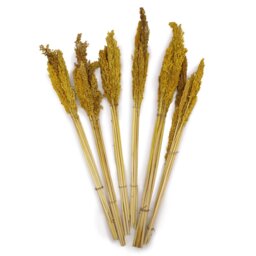 Vibrant Cantal Grass Bunch - Yellow - thumbnail 2