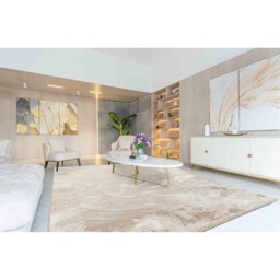 Elysium Modern Abstract Living Room Area Rug Metallic Sheen- Nebula Pearl - Pearl / 230cm - thumbnail 3