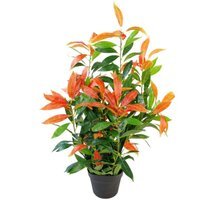 Realistic Red & Green Ficus Plant with Moss Covered Pot - Red