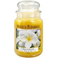 Frangipani Scented Jar Candle - Large / Large