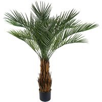 Cycas Palm Tree UV Resistant Outdoor - Cycas Palm UV