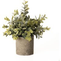 Eucalyptus Plant In Stone Effect Pot - Green - image 1