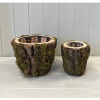 Brown Set of Two Round Mossed Bark Wooden Pot - Brown