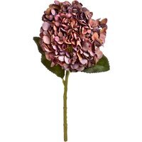 Autumn Coffee Hydrangea Warm Colored Flower Arrangement - Red - thumbnail 1