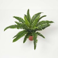 Homescapes Boston Fern in Pot, 45 cm Tall - Green - image 1