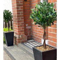 Pair of  Twist Natural Artificial Topiary Bay Laurel Ball Trees - Natural Twist