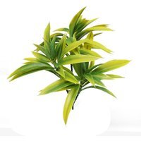 Yellow Tipped Yucca Trio 2 Pack - Green