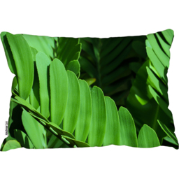 Natural Dark Green Leaves, Long Slender Green Leaves Cushion - Green - thumbnail 2