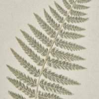 Timeless Fern Art With Beaded Frame - White