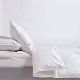 Homescapes Goose Feather and Down 10.5 Tog Autumn Duvet - White / Single - thumbnail 4