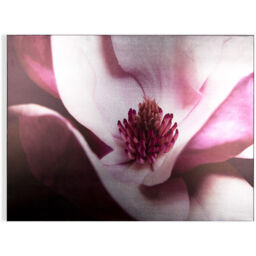 Art for the Home Metallic Plum Petals Printed Canvas - Purple - thumbnail 2