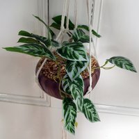 Hanging Artificial Potted Pothos Plant Planter - Green