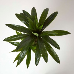 Homescapes Artificial Birds Nest Fern in Pot, 120 cm Tall - Green - thumbnail 2