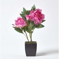 Homescapes Pink Artificial Peonies in Decorative Black Pot, 48 cm Tall - Pink - image 1