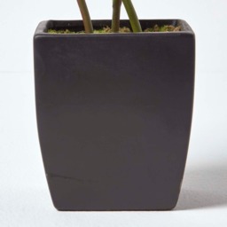 Homescapes Pink Artificial Peonies in Decorative Black Pot, 48 cm Tall - Pink - thumbnail 3