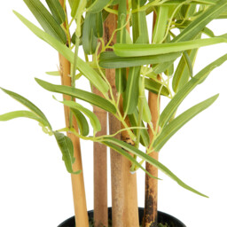 Faux Bamboo Tree in Pot - thumbnail 4