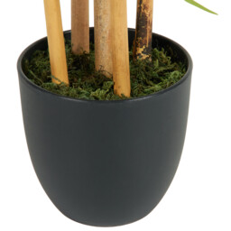 Faux Bamboo Tree in Pot - thumbnail 5