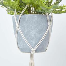 Homescapes Green Fern Hanging Plant, 95 cm - Green - thumbnail 4