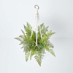 Homescapes Green Fern Hanging Plant, 95 cm - Green - thumbnail 2