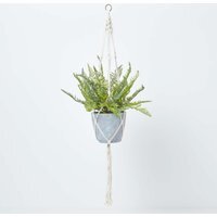 Homescapes Green Fern Hanging Plant, 95 cm - Green - thumbnail 1