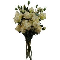 Pack of 6 Cream Rose Artificial Flower Spray Bundles - Cream