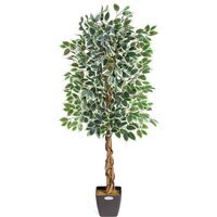 Artificial Ficus Tree in Pot - Green / 150cm / Variegated