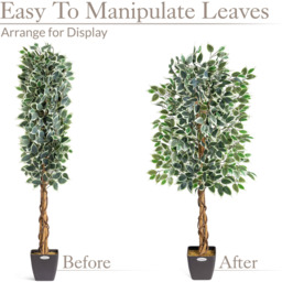 Artificial Ficus Tree in Pot - Green / 150cm / Variegated - thumbnail 3