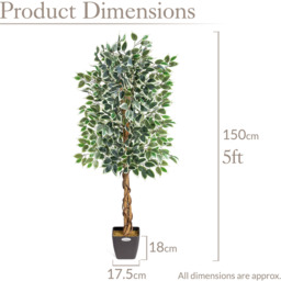 Artificial Ficus Tree in Pot - Green / 150cm / Variegated - thumbnail 4