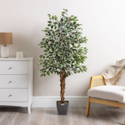 Artificial Ficus Tree in Pot - Green / 150cm / Variegated - thumbnail 5