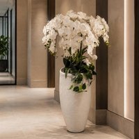 150cm White Orchid Potted Display Artificial Premium - White Orchid