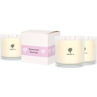 Soy Wax Scented Candles - 400g - Pack of 3 - Summer Berries