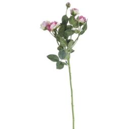 Artificial Camelot Garden Rose Spray - 70cm - Blush Pink - thumbnail 2