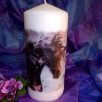Pillar Candle Horses - White / 5