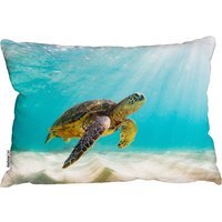 Photo Of Sea Turtle In The Galapagos Island Outdoor Cushion - Blue - thumbnail 1