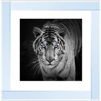 Blue Eyes Tiger Glitter Liquid Wall Art Decor - Silver