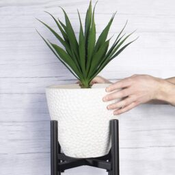 Metal Adjustable Plant Stand - Black - thumbnail 4