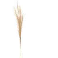 Bleached Pampas Grass Stem Boho Decor - White