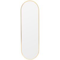Oval Metal Frame Wall Mounted Full Length Mirror - Gold - image 1