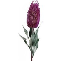 Banksia Menziesii Flower Stem Artificial - Banksia Menziesii Pink