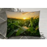 Young Green Corn Growing On The Field At Sunset Cushion Cushion - Green - image 1