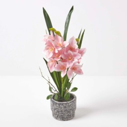Homescapes Large 58cm Cymbidium Pink Artificial Orchid in Grey Cement Pot - Pink - thumbnail 3