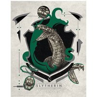 Harry Potter Limited Edition Slytherin Art Print - Multi