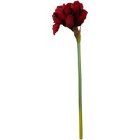 Fiori Burgundy Amarylilis Flower Stem - Red