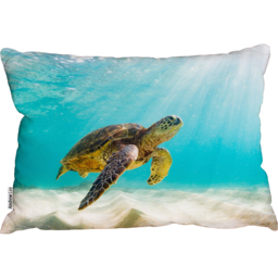 Photo Of Sea Turtle In The Galapagos Island Cushion - Blue - thumbnail 2