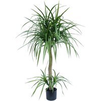 Leaf Design UK Artificial Yukka Tropical House Plant - 120cm Dracaena Tree / 60cm / 120cm