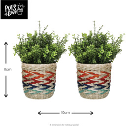 KitchenCraft Plant Baskets x2 - Brown - thumbnail 4