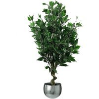 Leaf Realistic Plant Artificial Ficus Tree - Evergreen Silver Curve / 55cm