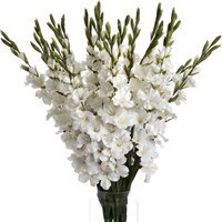 Gladioli Stems Height and Charm in Artificial Blooms - White - thumbnail 1