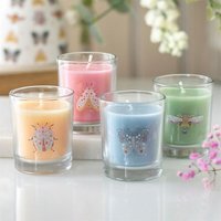Floral Bug Mandarin Bergamot Candle Set - Multicolor